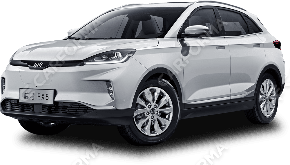 Коврики на Weltmeister EX5 2018&nbsp;-&nbsp;2022