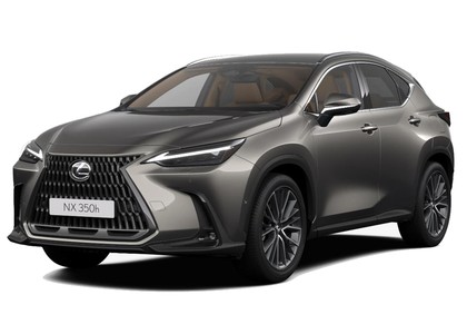 EVA коврики на Lexus NX II 2021&nbsp;-&nbsp;2026 в Хабаровске