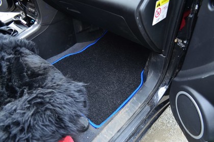 Коврики на Lifan X60 2011&nbsp;-&nbsp;2022 в Хабаровске