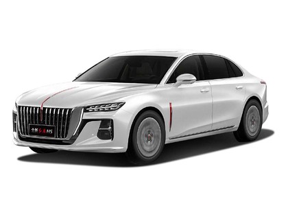 Коврики на Hongqi H5 II 2022&nbsp;-&nbsp;2026 в Хабаровске