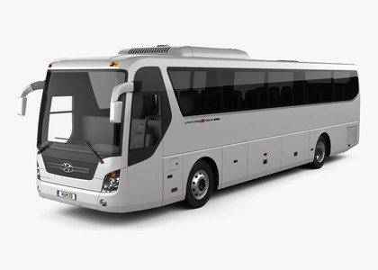 Коврики на Hyundai Universe Space Luxury  в Хабаровске