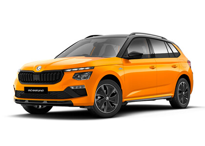 Коврики на Skoda Kamiq (Европа) 2019&nbsp;-&nbsp;2026 в Хабаровске