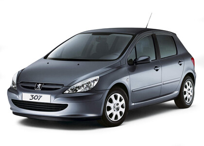 Ворсовые коврики на Peugeot 307 2001&nbsp;-&nbsp;2008 в Хабаровске