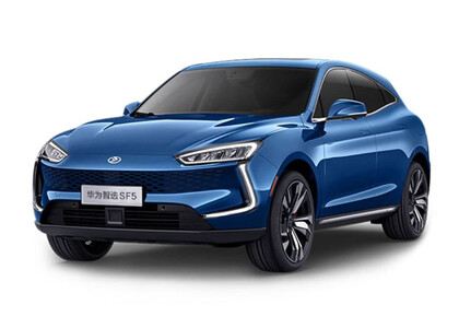 Коврики на Seres SF5 2019&nbsp;-&nbsp;2022 в Хабаровске