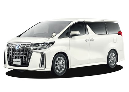 Ворсовые коврики на Toyota Alphard (H30) 2015&nbsp;-&nbsp;2023 в Хабаровске