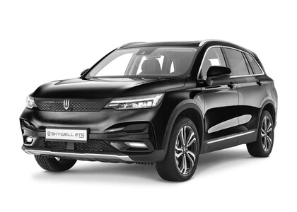 Коврики на Skywell ET5 2021&nbsp;-&nbsp;2026 в Хабаровске