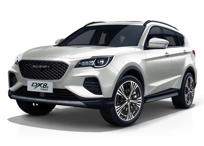 Коврики на Soueast DX8S 2022&nbsp;-&nbsp;2026 в Хабаровске