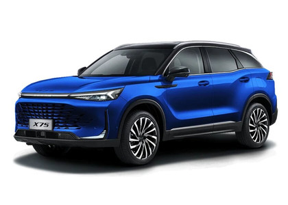 Коврики на Baic X75 2024&nbsp;-&nbsp;2026 в Хабаровске