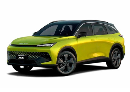Коврики на Baic X55 2022&nbsp;-&nbsp;2026 в Хабаровске