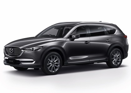 Коврики на Mazda CX8 2017&nbsp;-&nbsp;2023 в Хабаровске