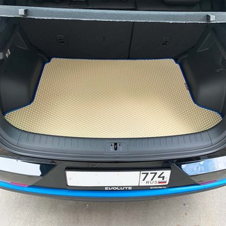 EVA коврики на Evolute i-Joy 2022&nbsp;-&nbsp;2026 в Хабаровске