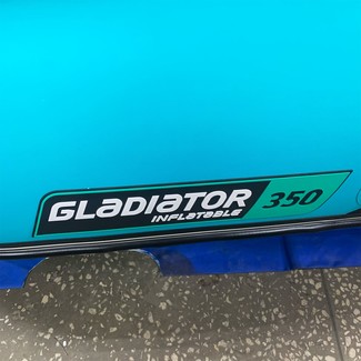 Коврики на Лодки Gladiator E350S  в Хабаровске