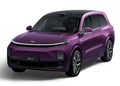 Коврики на Li L9 2022&nbsp;-&nbsp;2026 в Хабаровске