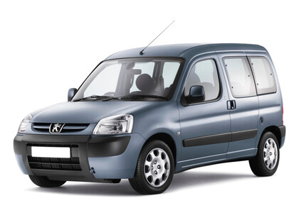 Коврики на Peugeot Partner I 1996&nbsp;-&nbsp;2012 в Хабаровске