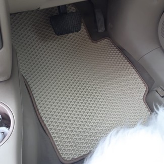 Коврики на Mazda Demio II (DY) 2002&nbsp;-&nbsp;2007 в Хабаровске