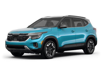 Коврики на KIA Seltos I Китай 2019&nbsp;-&nbsp;2026 в Хабаровске