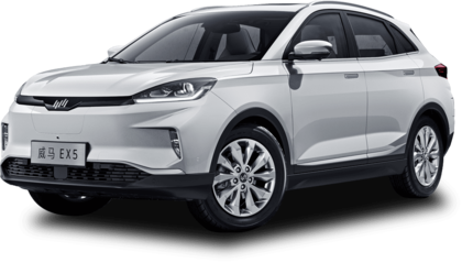 Ворсовые коврики на Weltmeister EX5 2018&nbsp;-&nbsp;2022 в Хабаровске